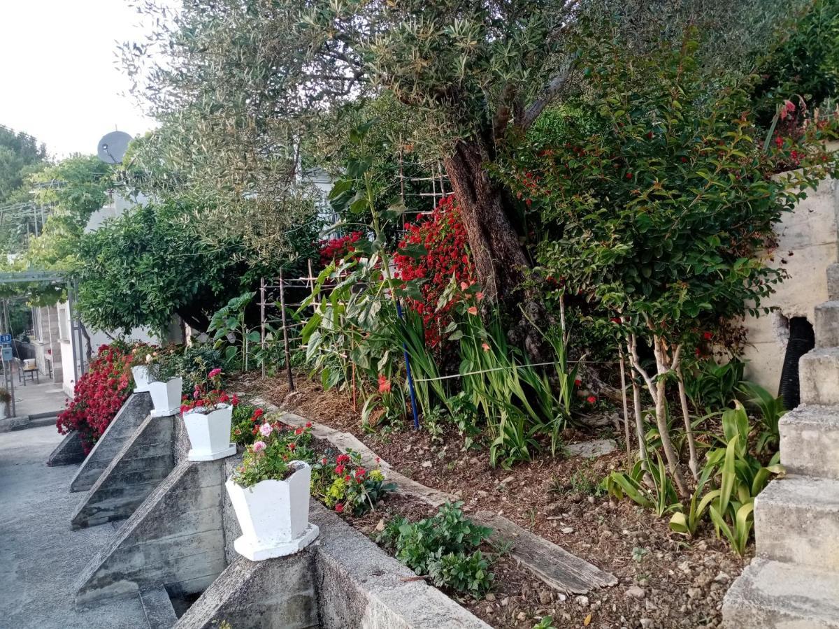 Apartmani Bosco Tivat Eksteriør billede