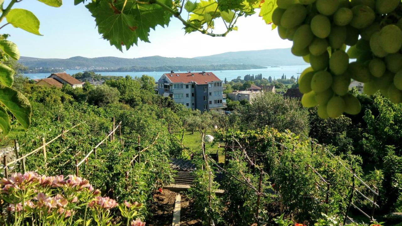 Apartmani Bosco Tivat Eksteriør billede