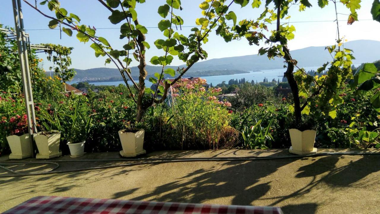 Apartmani Bosco Tivat Eksteriør billede