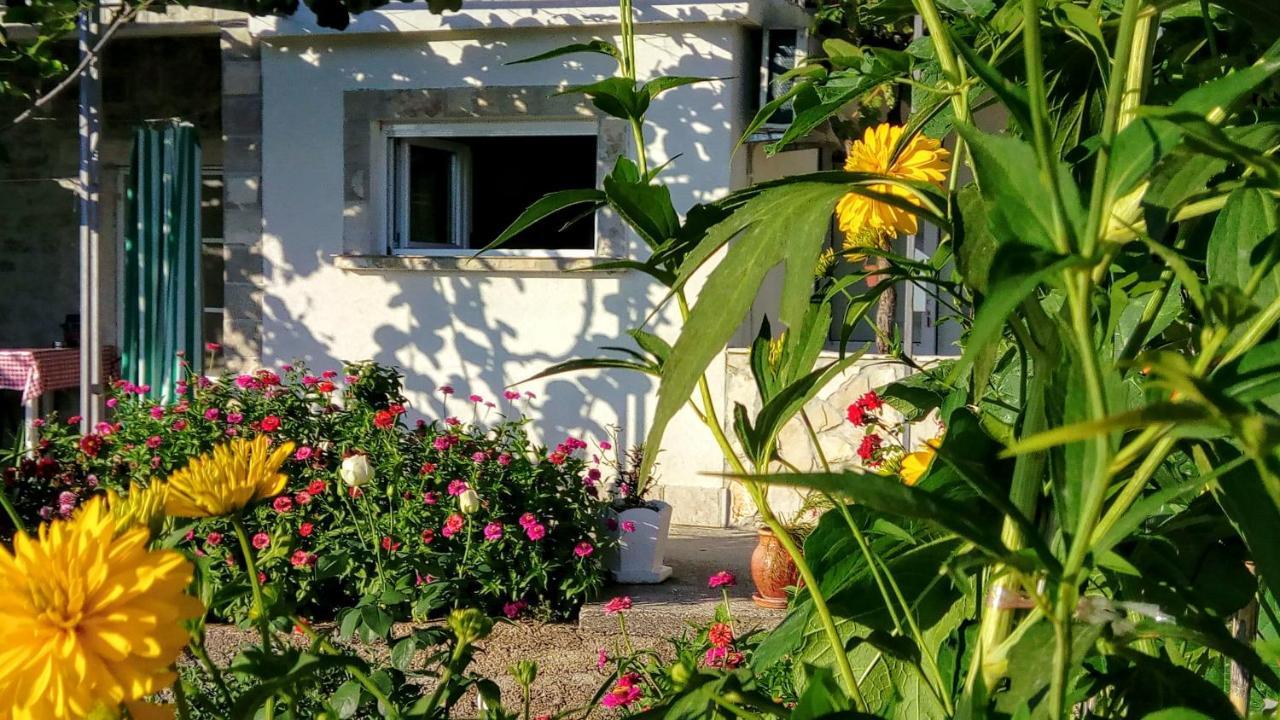 Apartmani Bosco Tivat Eksteriør billede