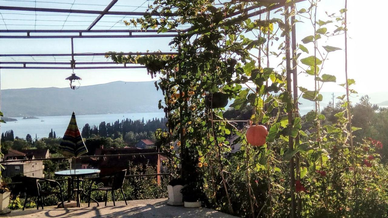 Apartmani Bosco Tivat Eksteriør billede