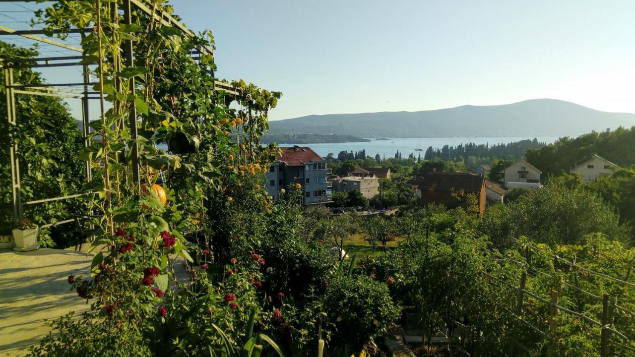 Apartmani Bosco Tivat Eksteriør billede