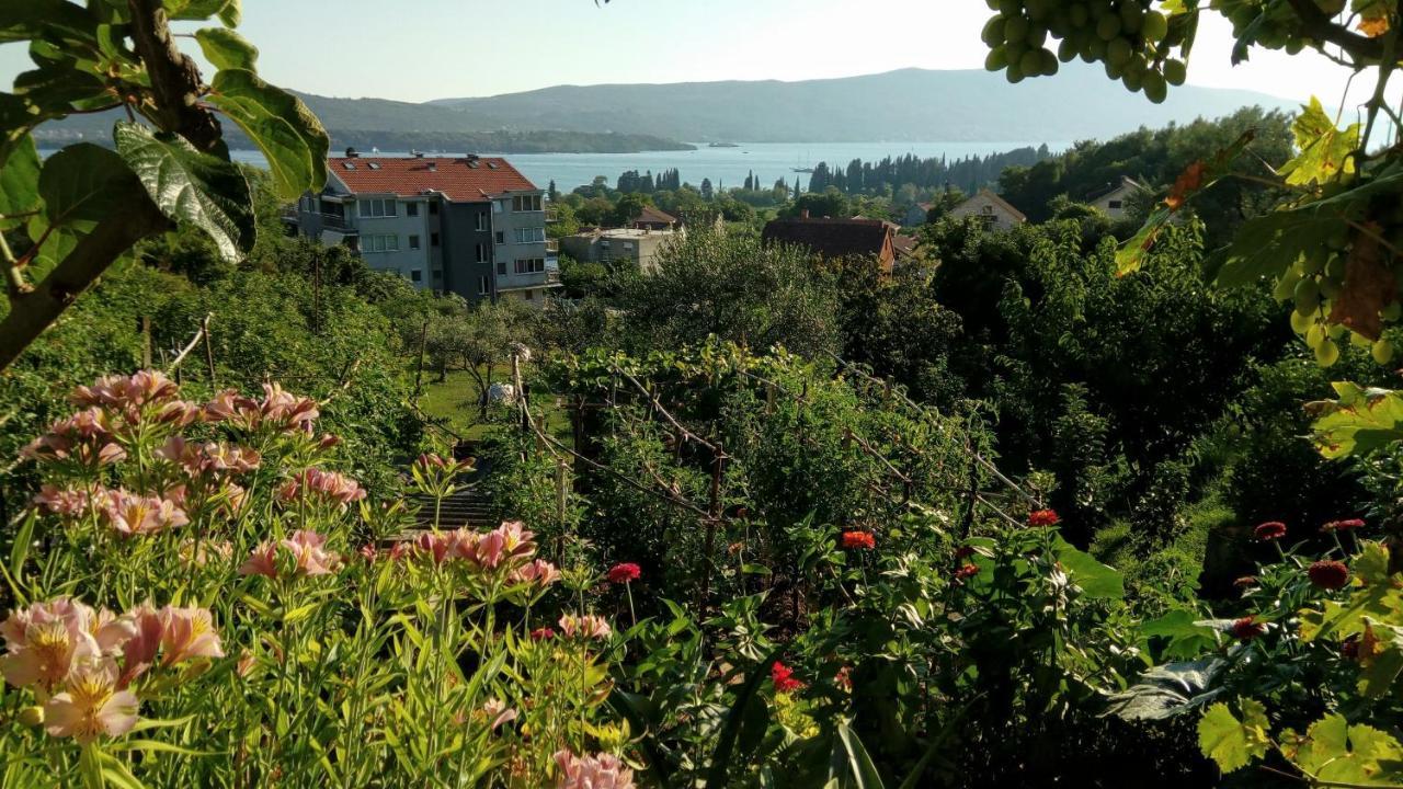 Apartmani Bosco Tivat Eksteriør billede