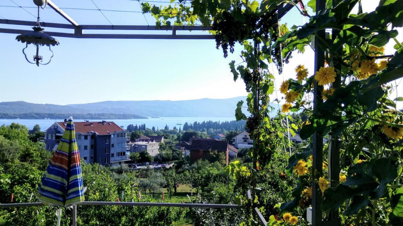 Apartmani Bosco Tivat Eksteriør billede