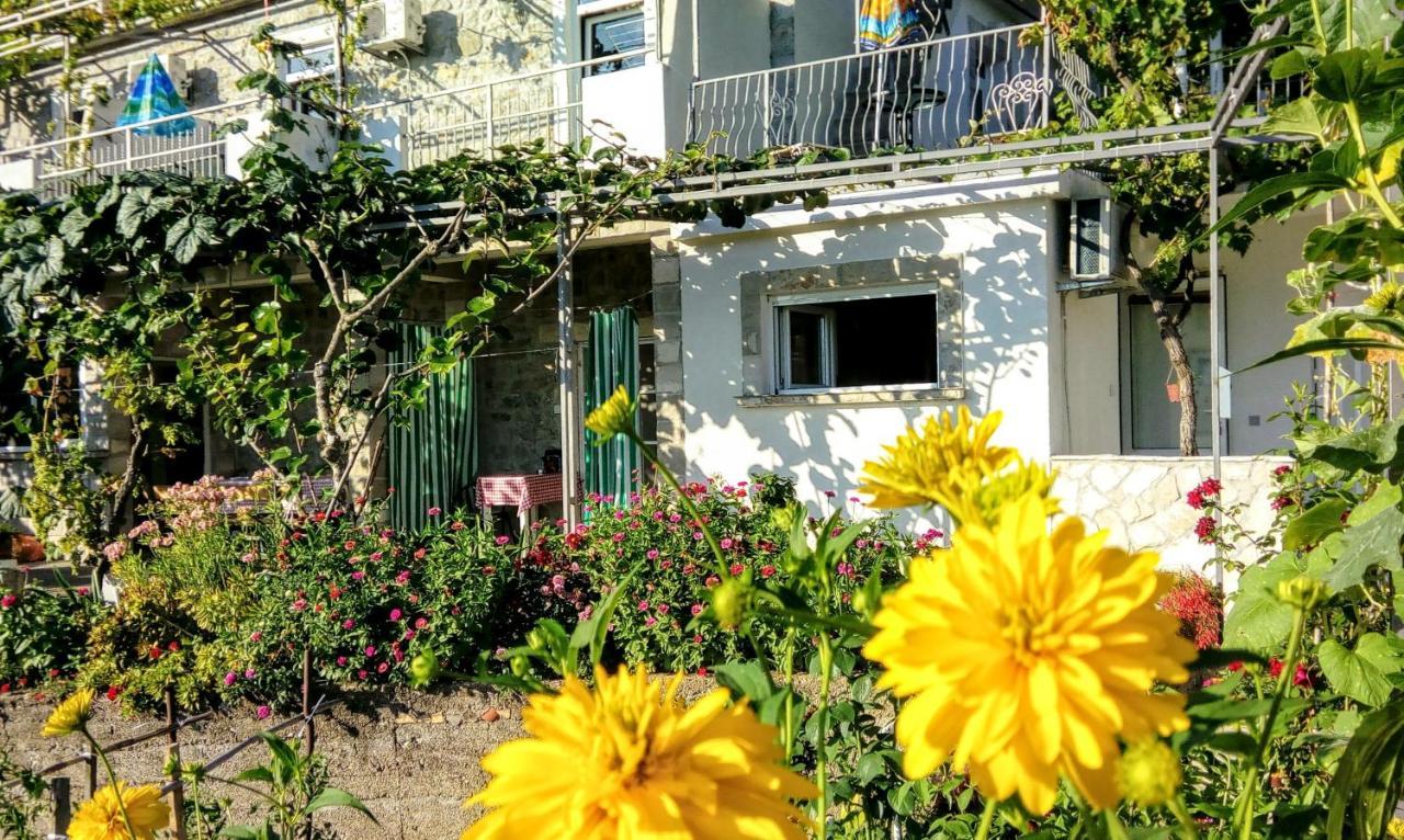 Apartmani Bosco Tivat Eksteriør billede
