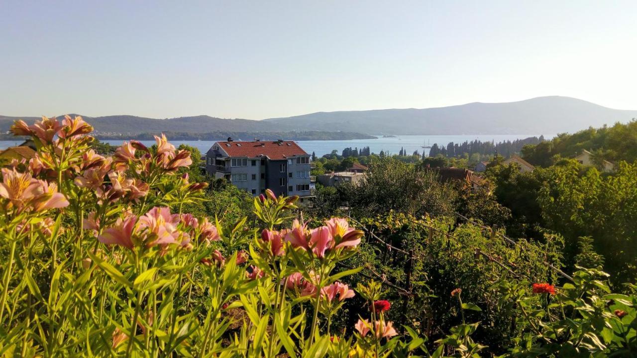 Apartmani Bosco Tivat Eksteriør billede