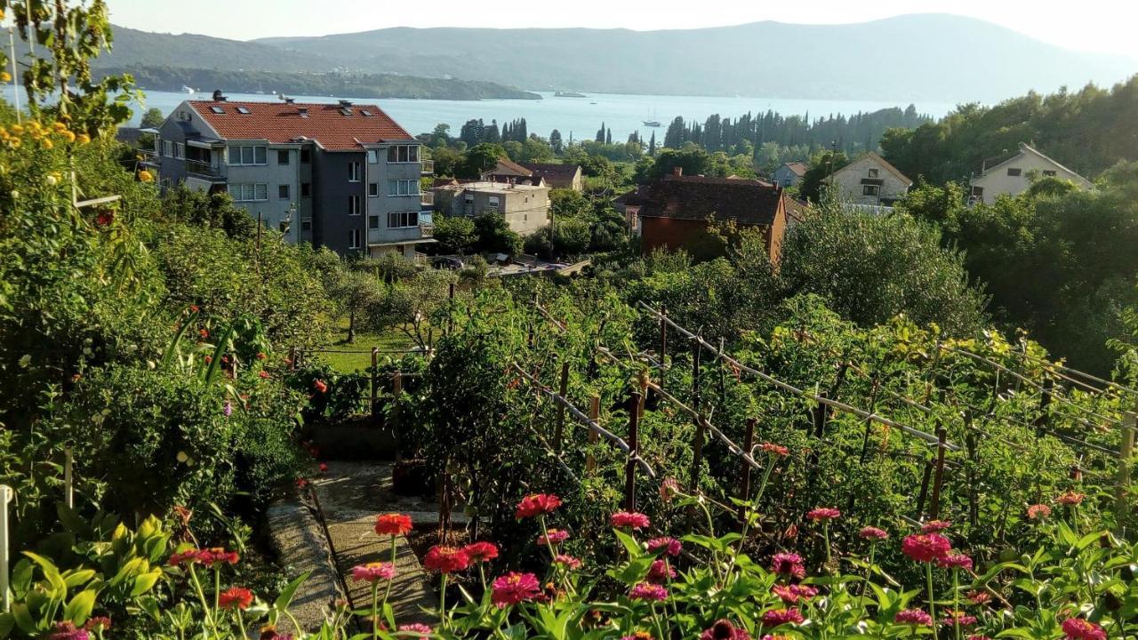 Apartmani Bosco Tivat Eksteriør billede
